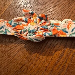 Large Didog dog collar with Oranges w/peach background color removable Bow NEW